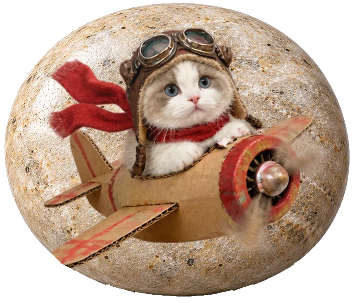 Little Pilot