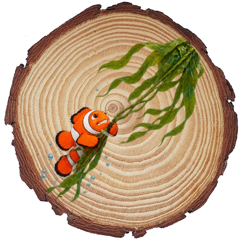 Personalized Wood Slice on a wood