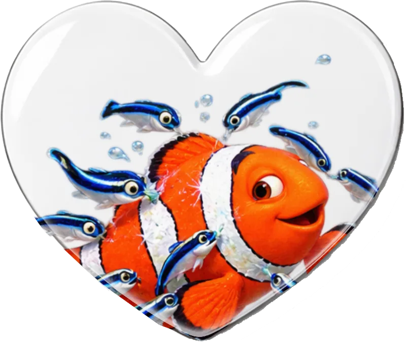 Heart-Shaped Photo Magnet on a magnet