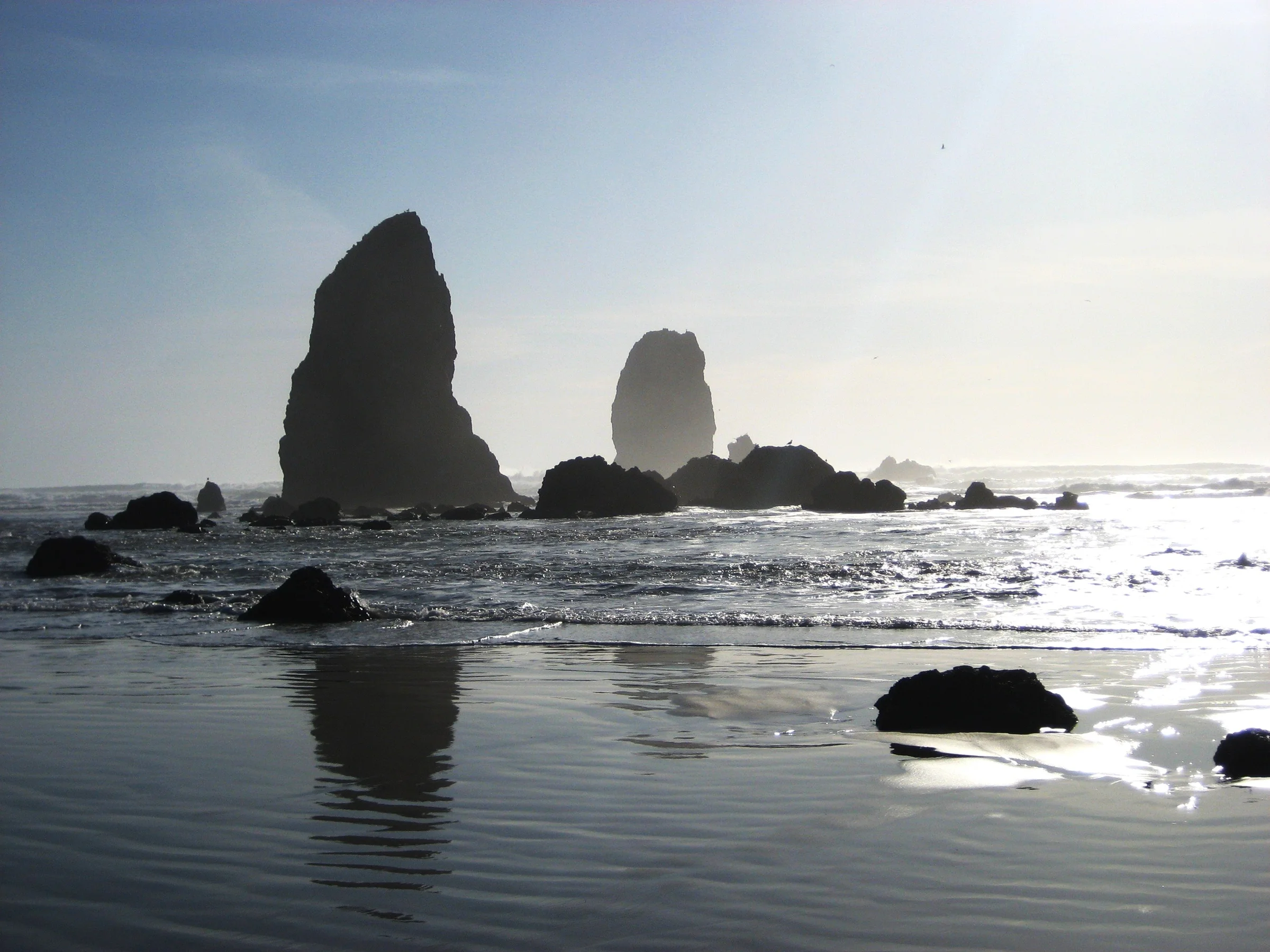 Oregon Coast landscape
