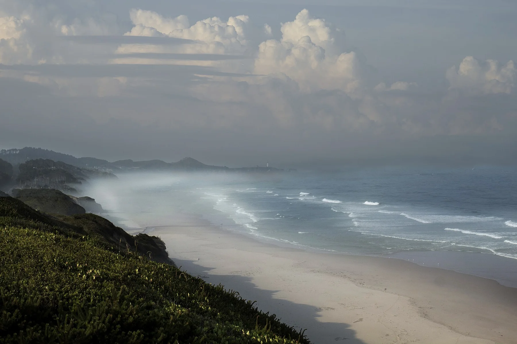 Forested headland on the Oregon Coast